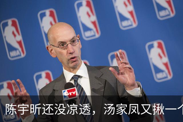 陈宇昕还没凉透，汤家凤又揪一个“精日”人员：竟然还是公司老板
