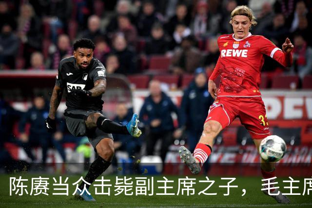 陈赓当众击毙副主席之子，毛主席一言不发，就送了一箱东西
